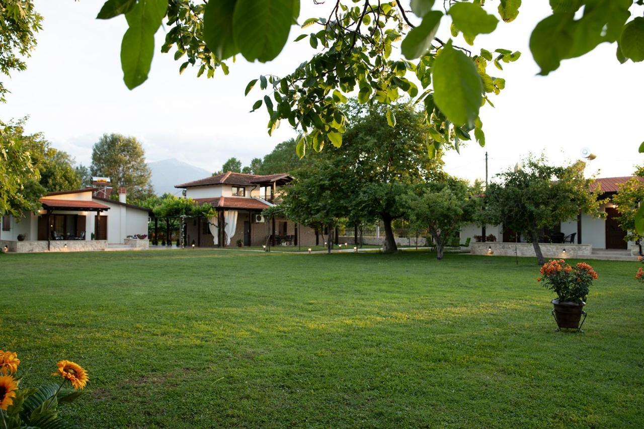 Villa La Varik 1 Litóchoron Ngoại thất bức ảnh